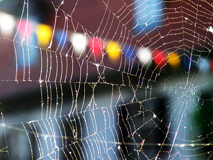 weaving a web in your business
