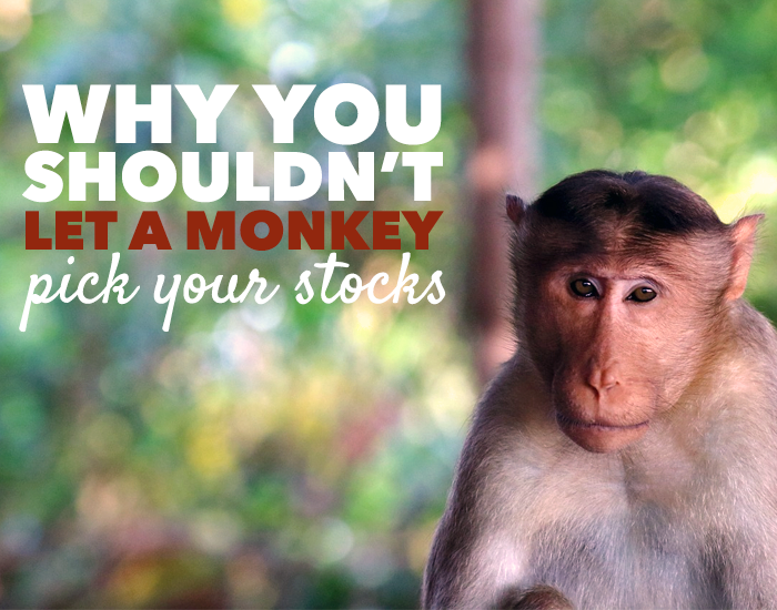 The Monkey Portfolio — Can Monkeys Beat the Market?