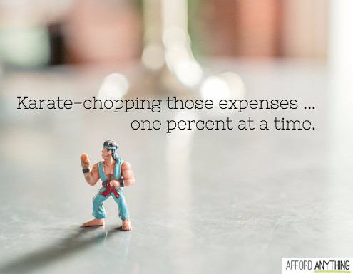 Chopping your expenses
