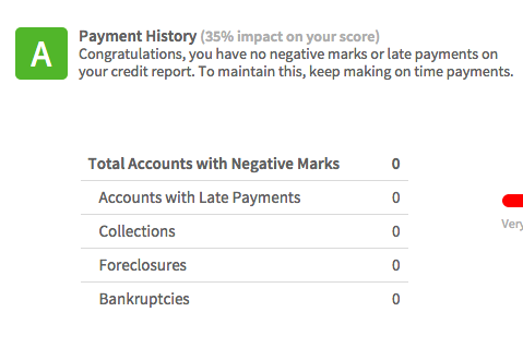 payment history - credit report