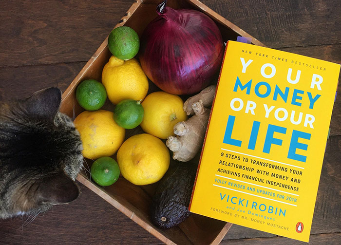 your money or your life pdf book