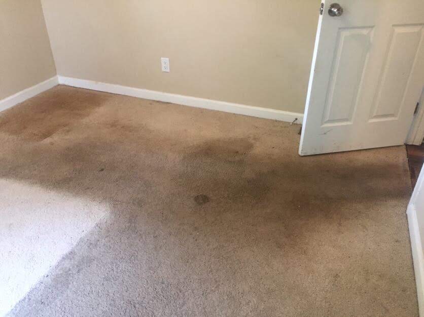 Stains on the carpet of our rental