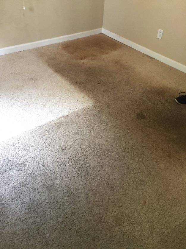 The damage done to the carpet
