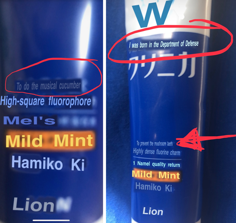 Japanese toothpaste with google translations
